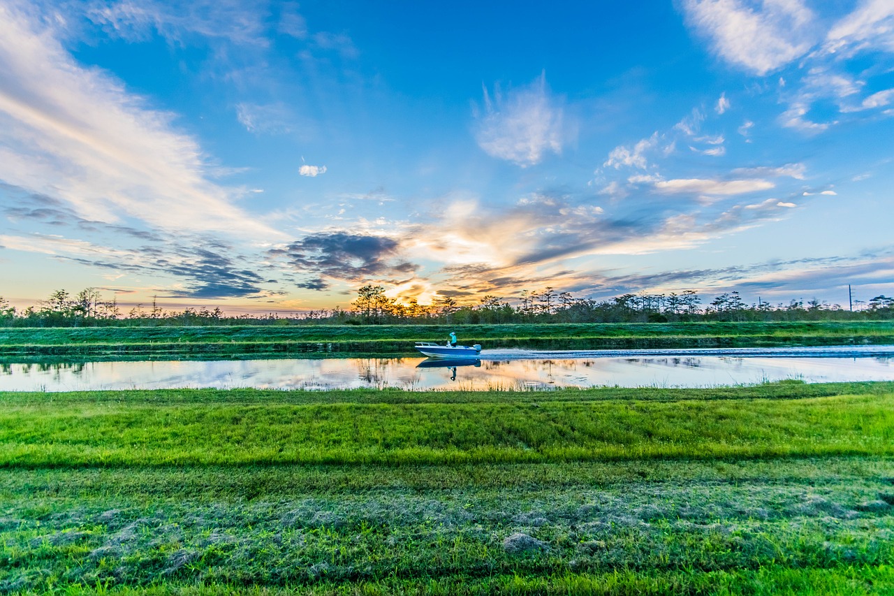 boat swamp nature free photo