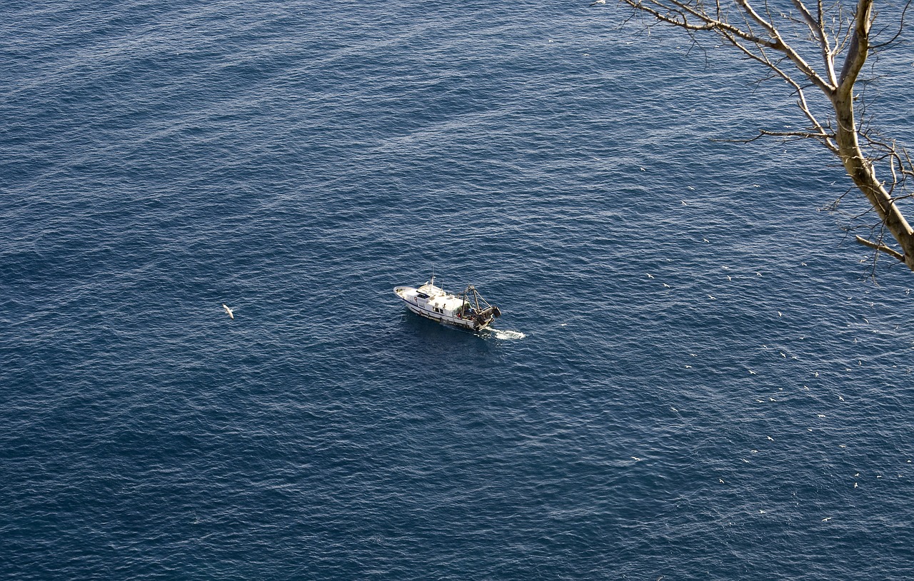 boat  fishing boat  fishing free photo