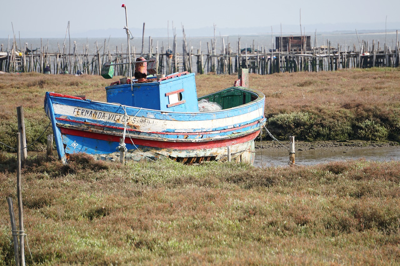 boat  port  old free photo