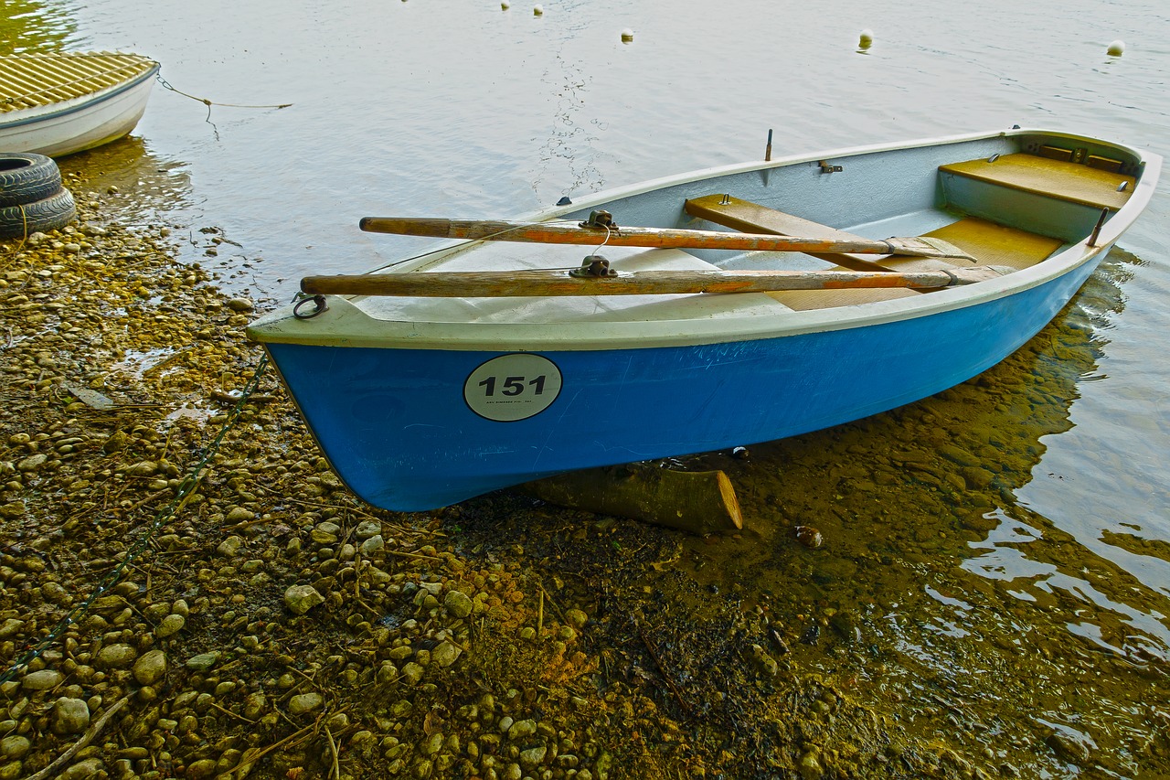 boat  waters  rowing boat free photo