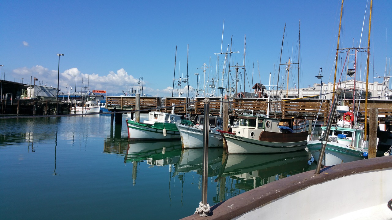 boat  bay  ocean free photo