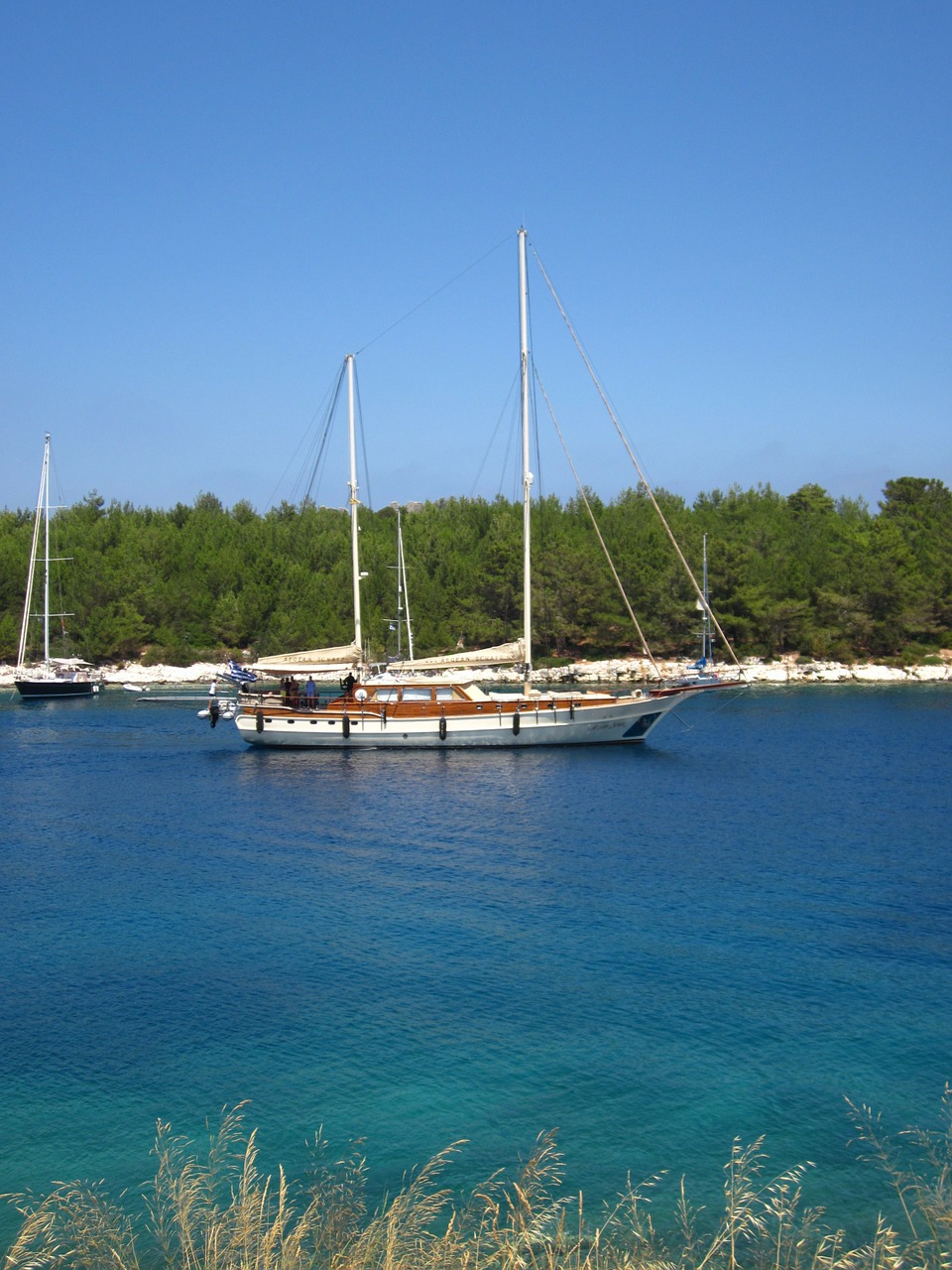 boat sailing colorful free photo