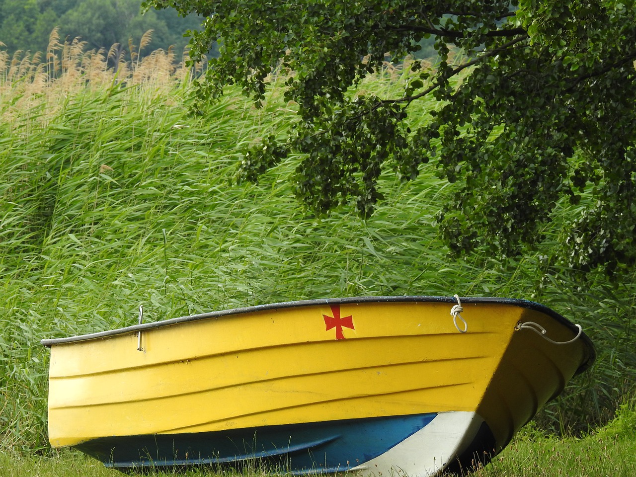 boat  lake  water free photo