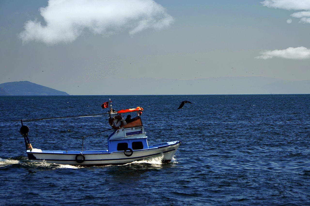 boat  marine  blue free photo