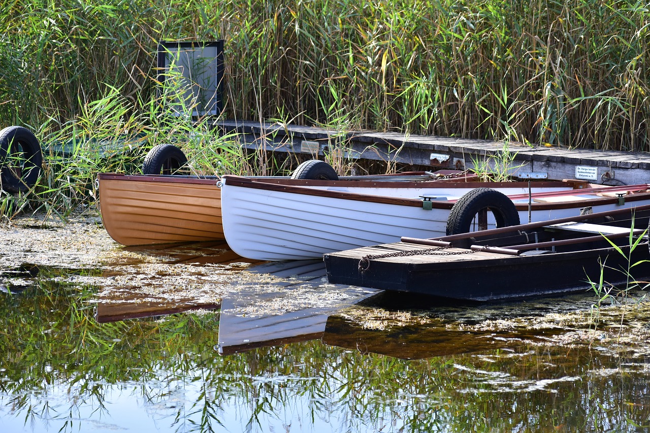 boat  fishing  lake free photo