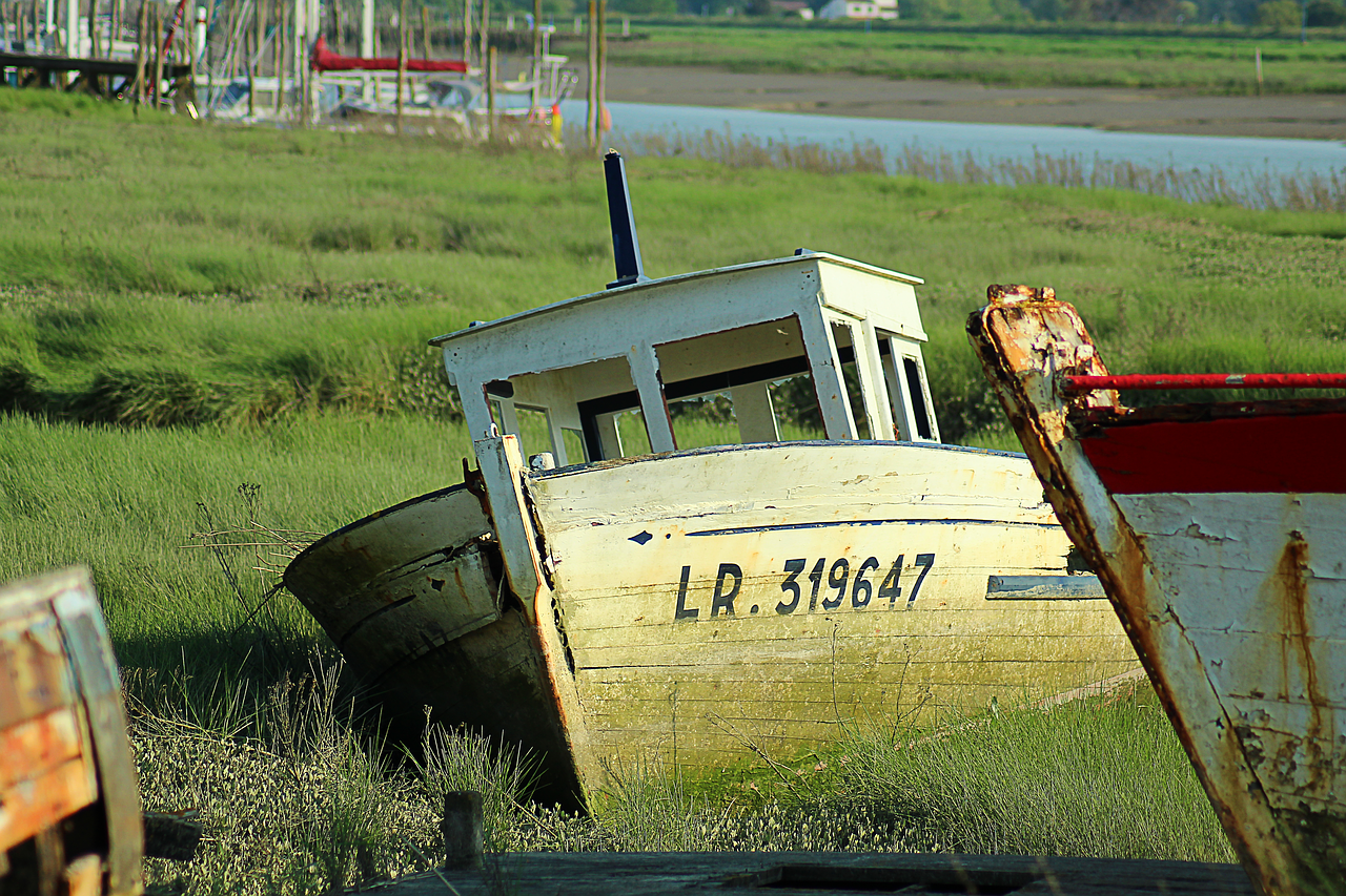 boat  old  sea free photo