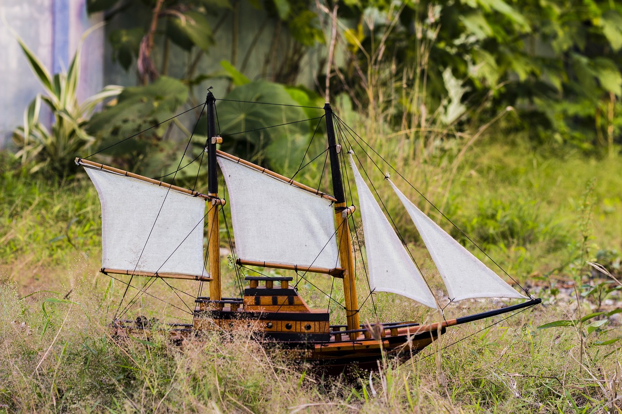 boat  grass  green free photo