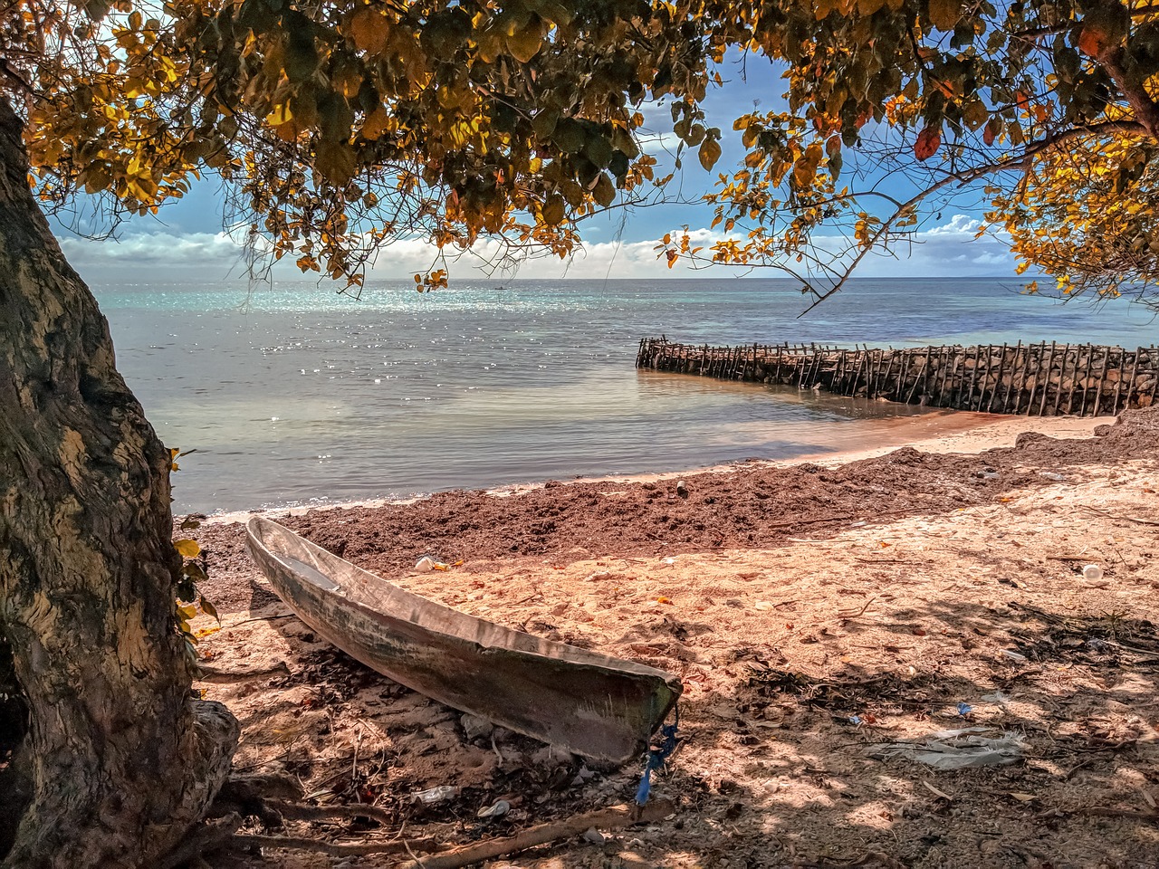 boat  beach  the sea free photo