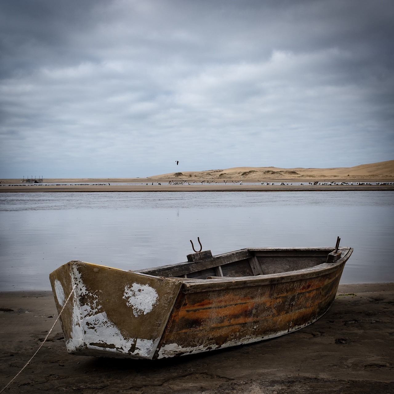 boat  sea  sand free photo