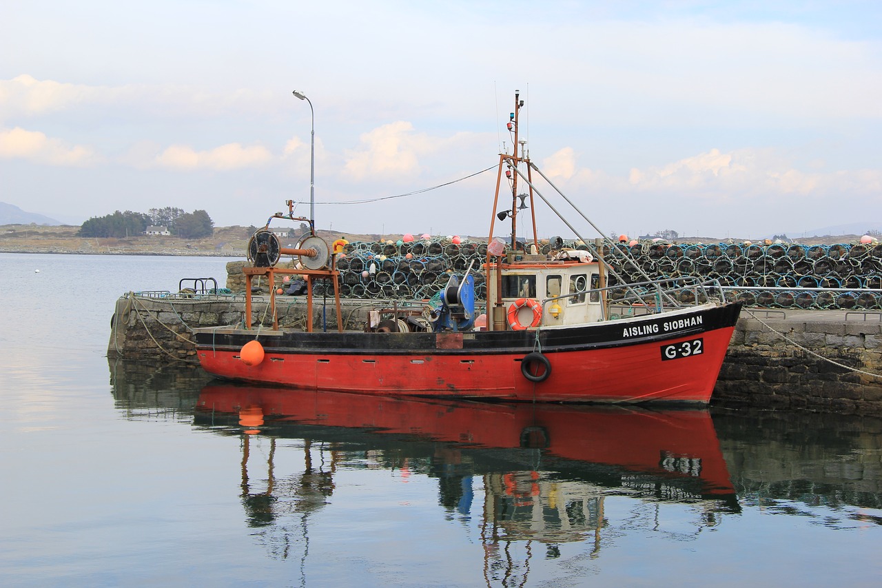 boat  harbor  harbour free photo