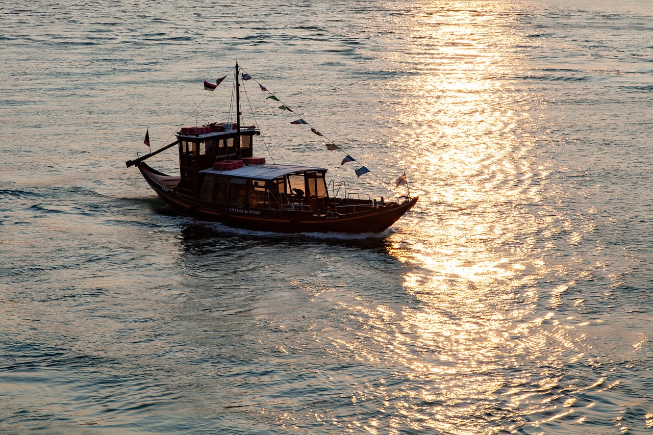 boat  river  douro free photo