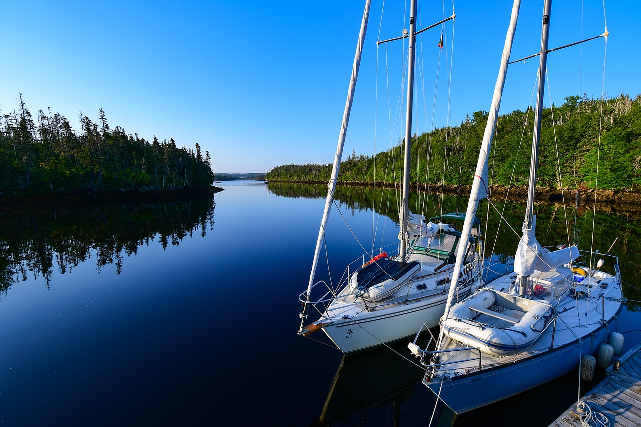 boat  calm  port free photo