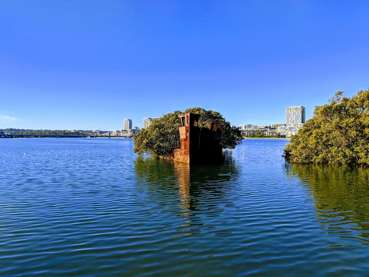 boat  abandoned  trees free photo