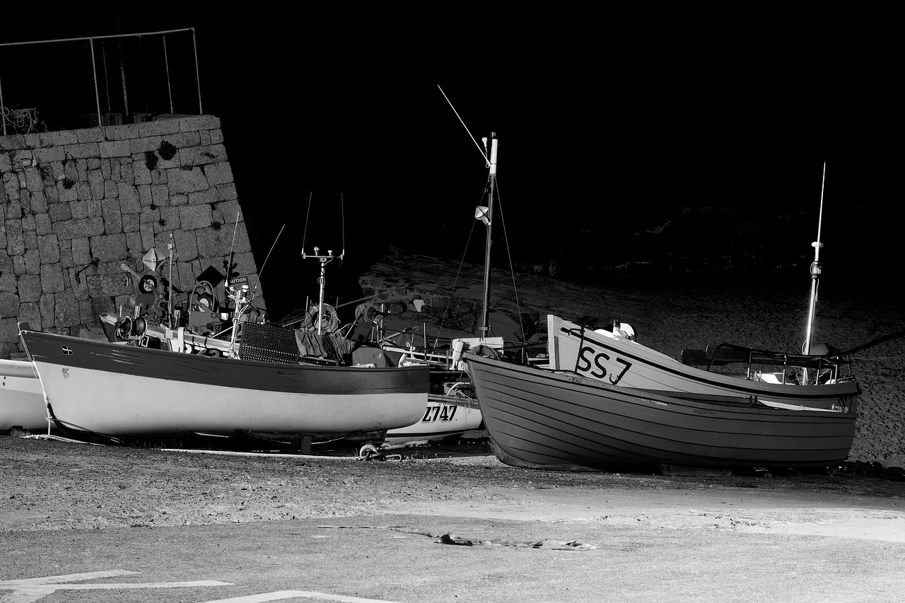 boat  harbour  night free photo