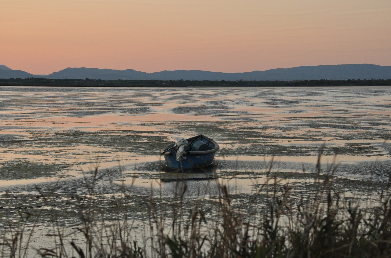 boat  pond  sunset free photo