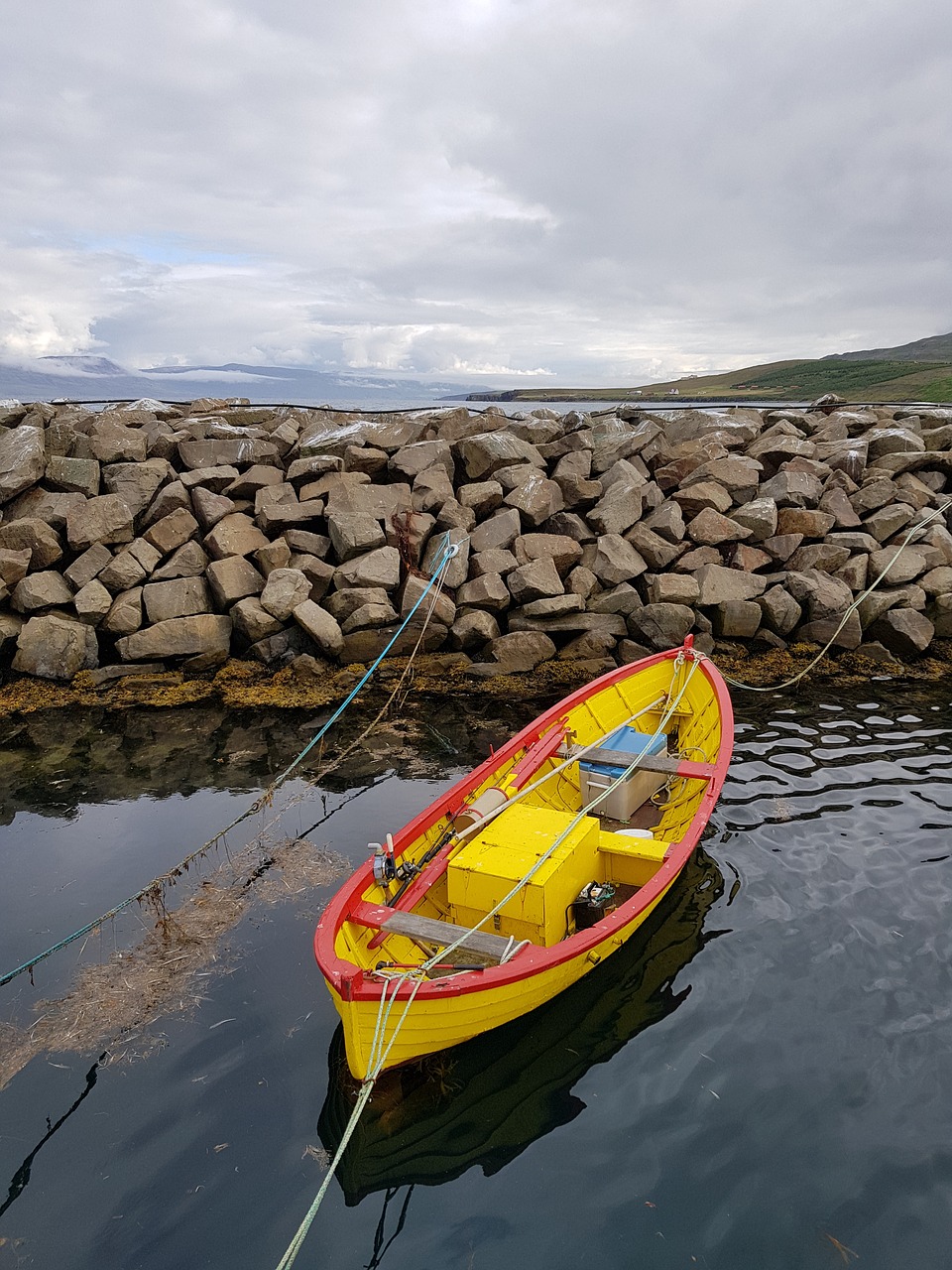 boat  harbor  rowing free photo