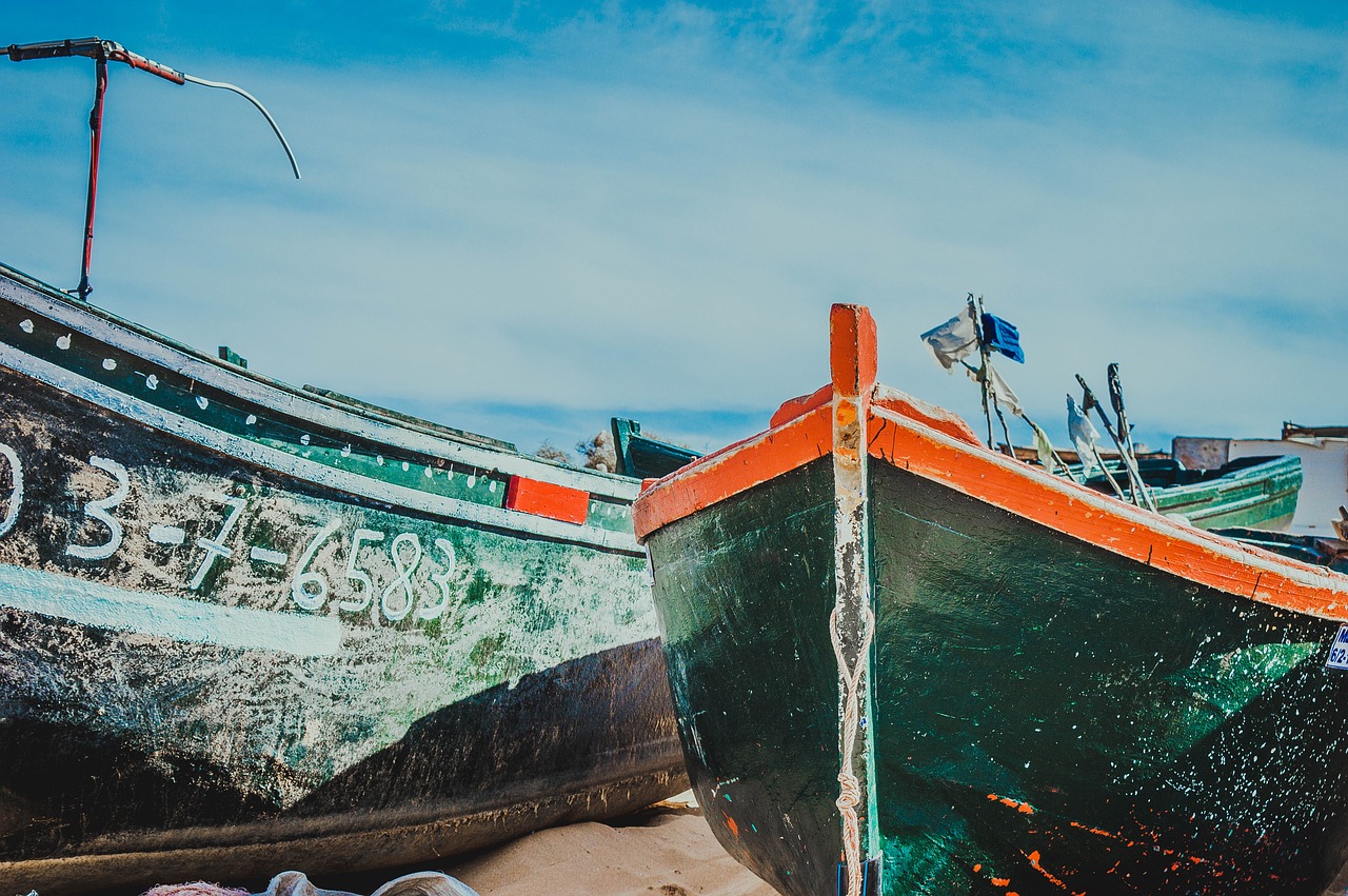 boat  sea  life free photo