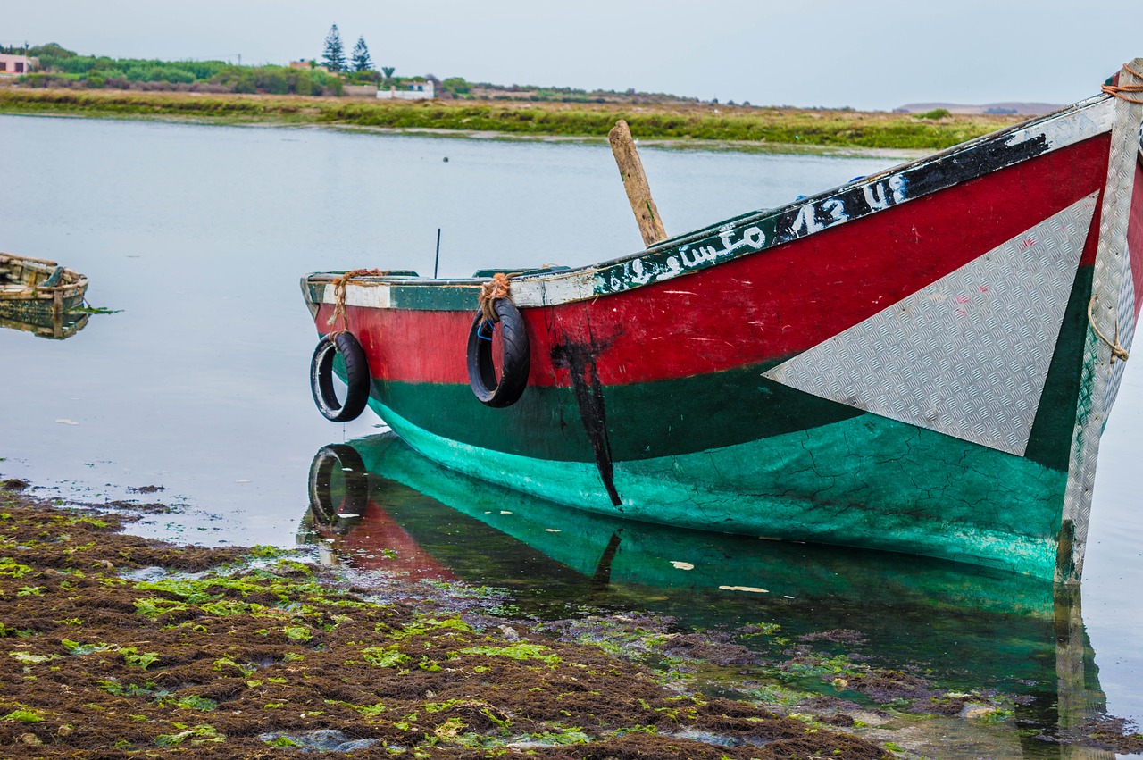 boat  sea  ocean free photo