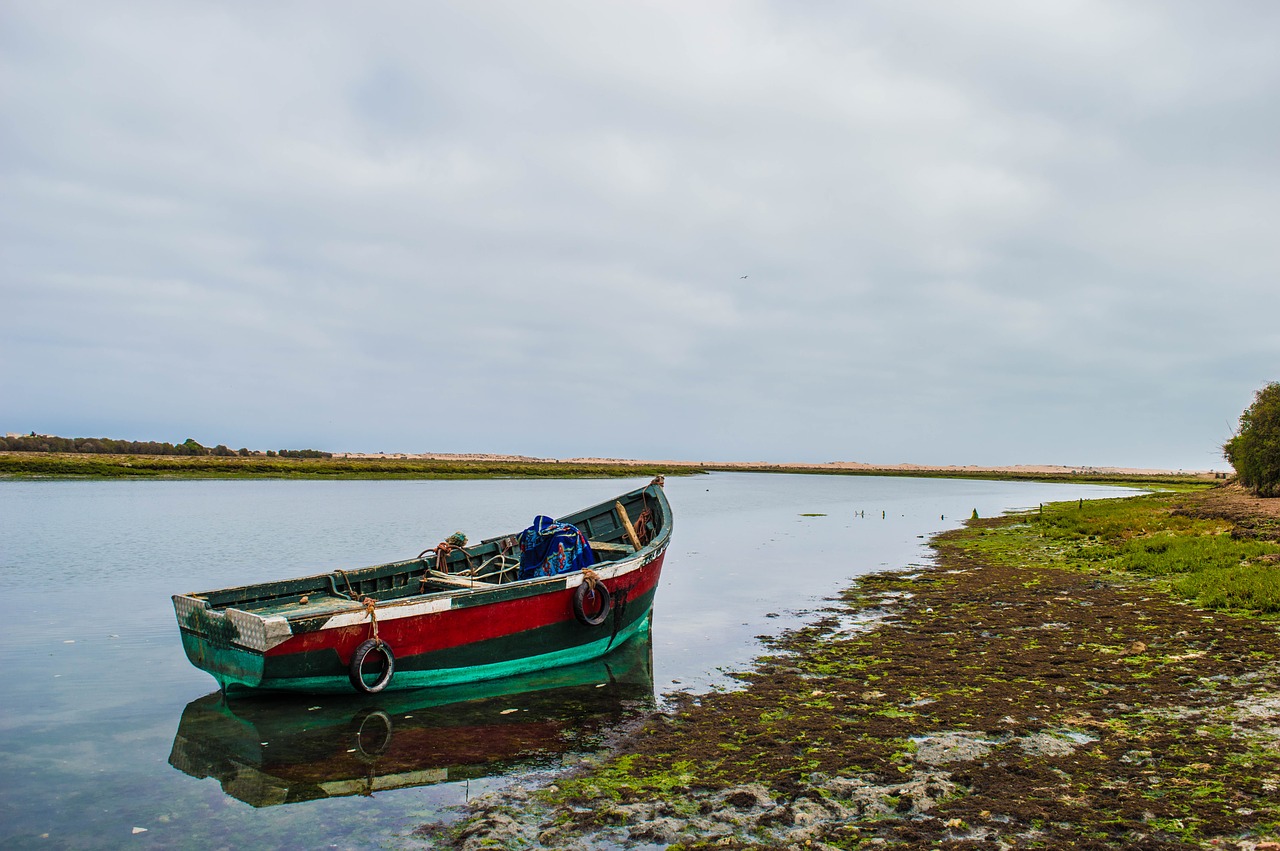 boat  sea  ocean free photo