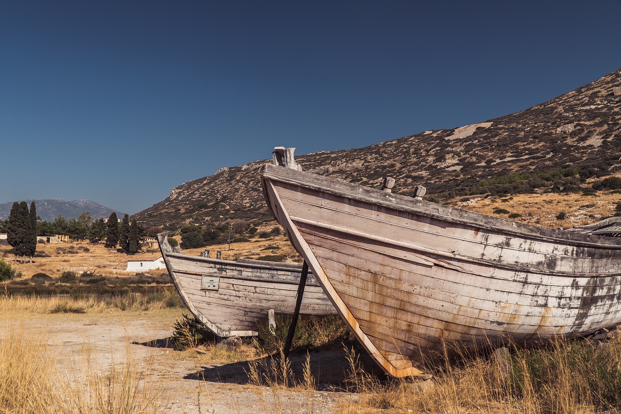 boat  grass  landscape free photo