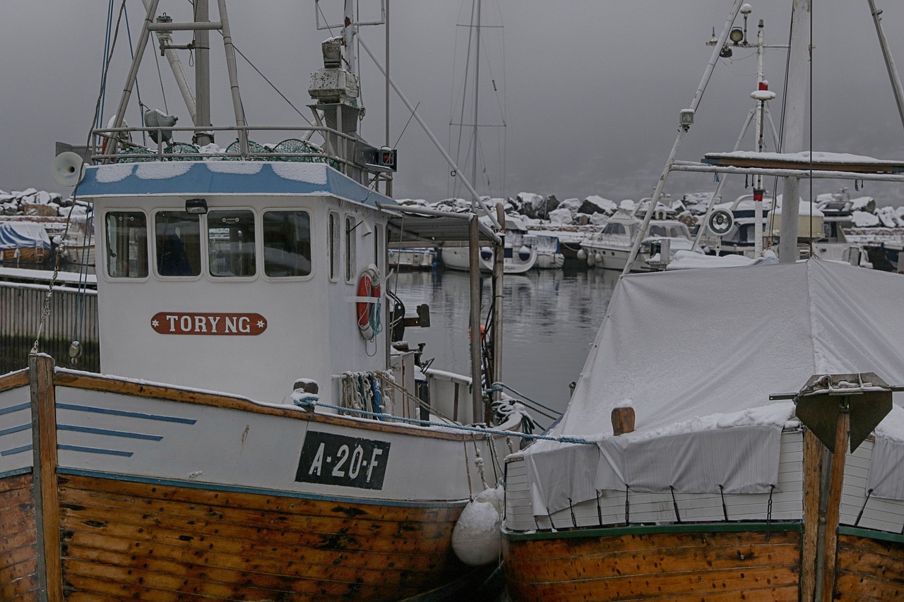 boat  winter  sea free photo