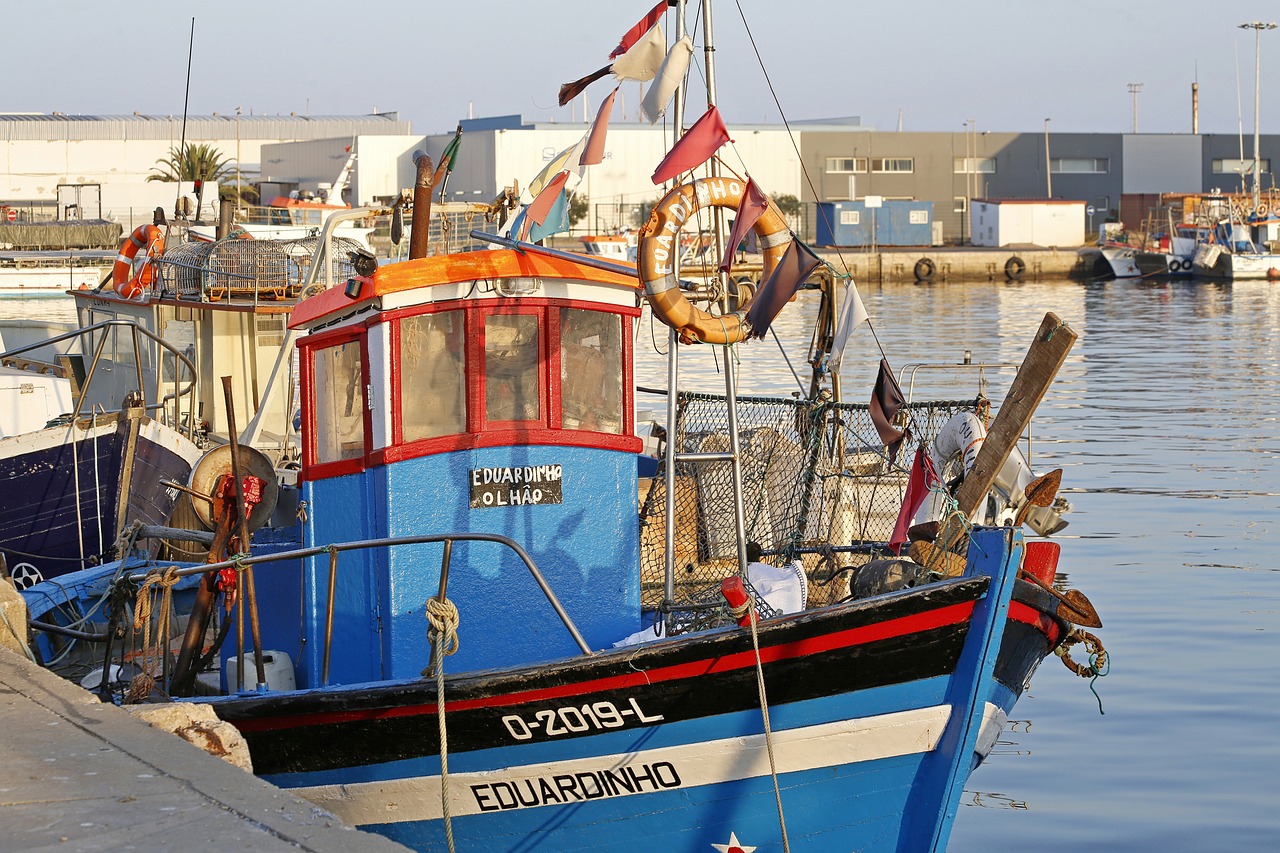 boat  sea  fish free photo