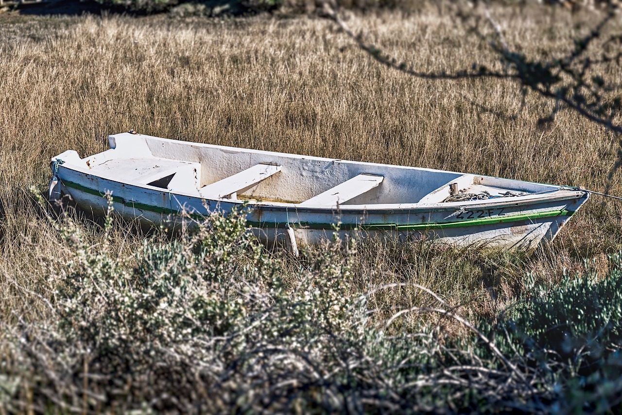 boat  dry  shore free photo