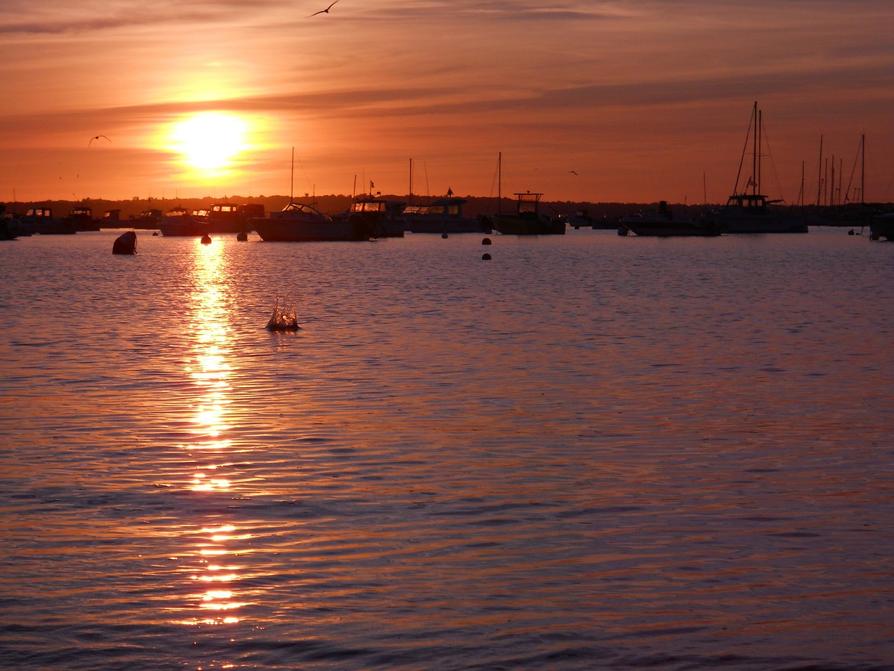 boat beach sea free photo