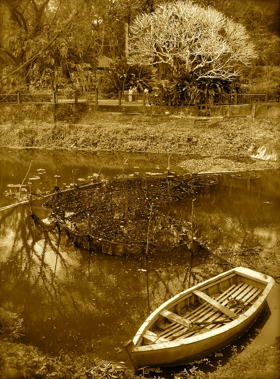 boat river riverbank free photo