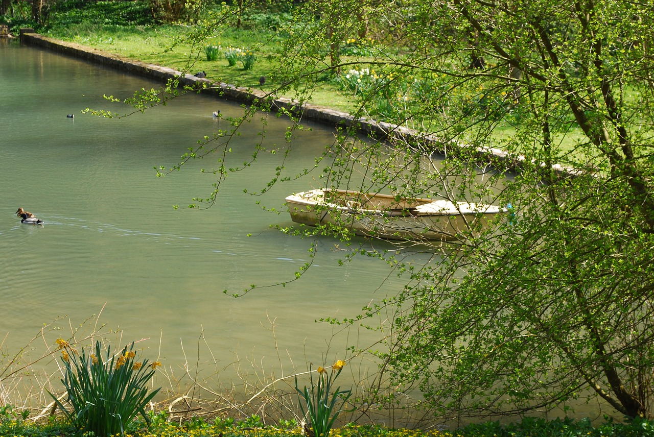 boat  lake  pond free photo