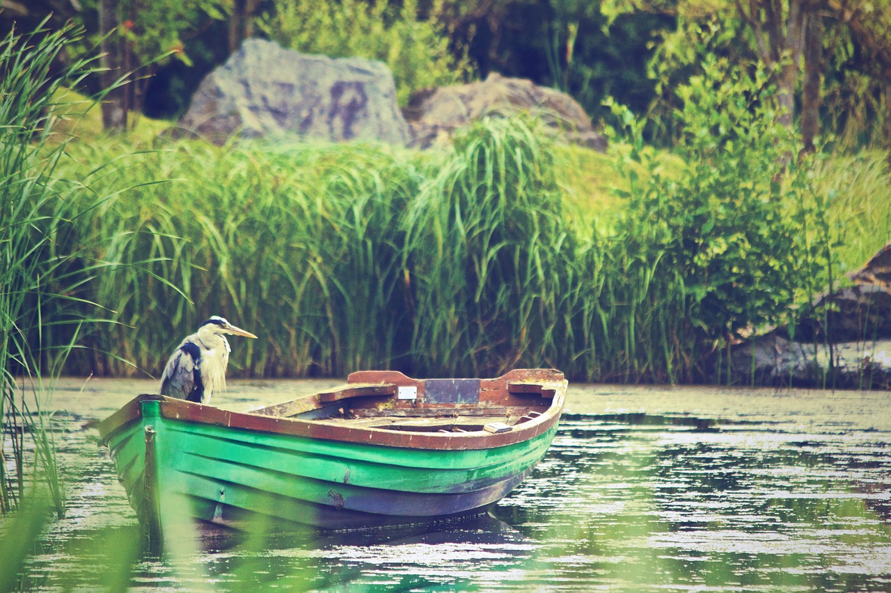 boat heron lake free photo