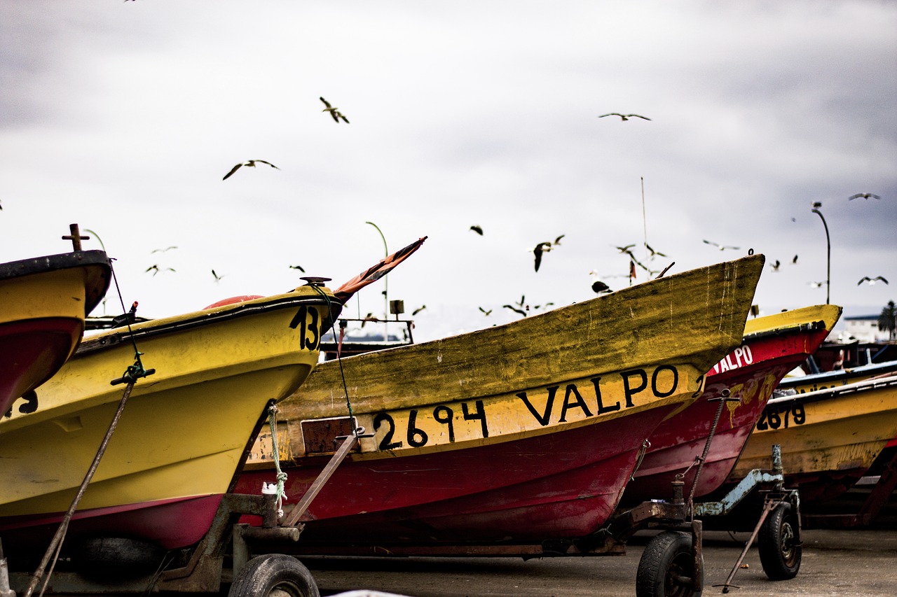 boat  fishing  sea free photo