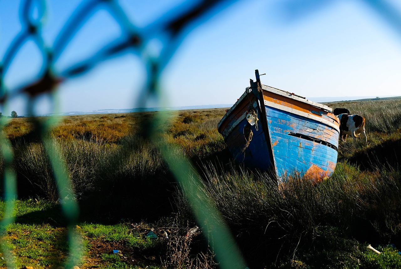 boat  wreck  ship wreck free photo