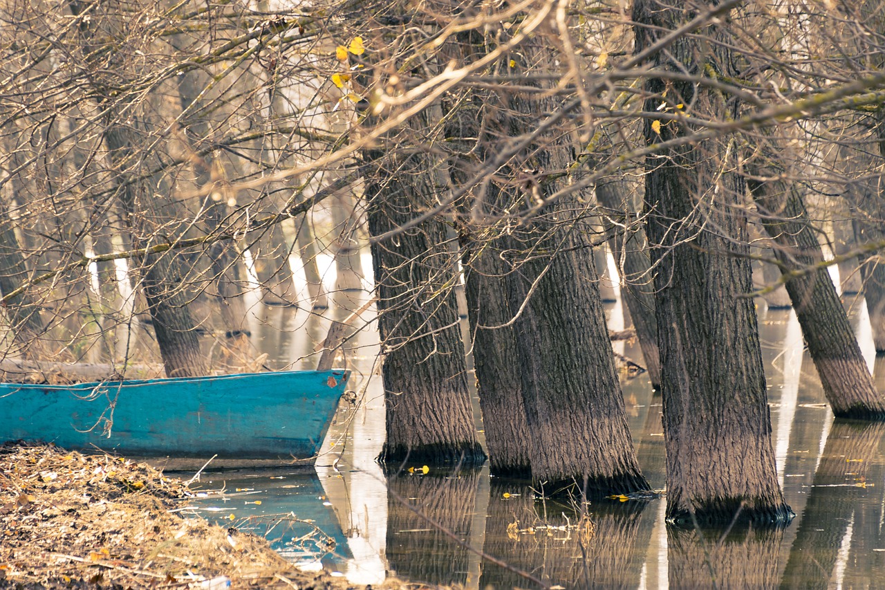 boat  lake  trees in water free photo