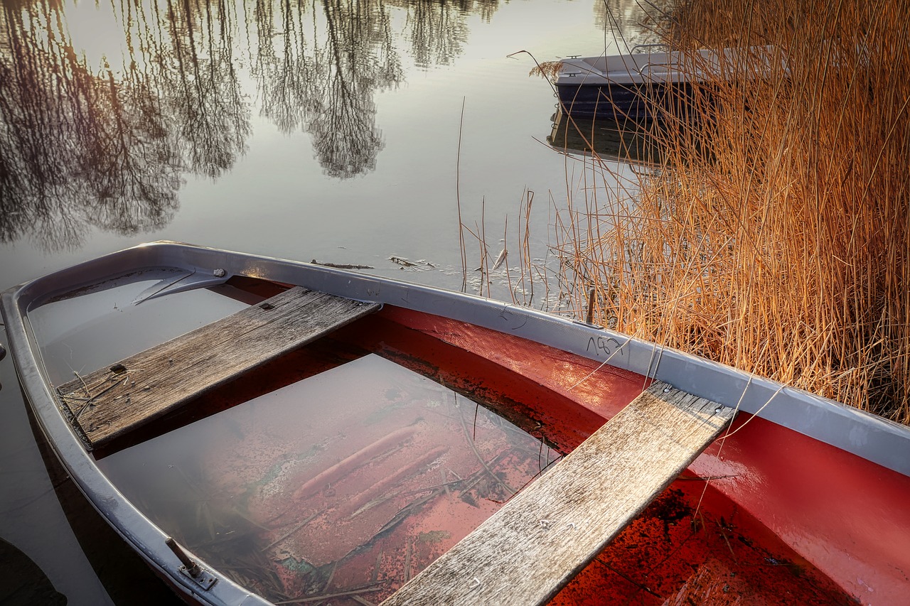 boat  kuhsee  augsburg free photo