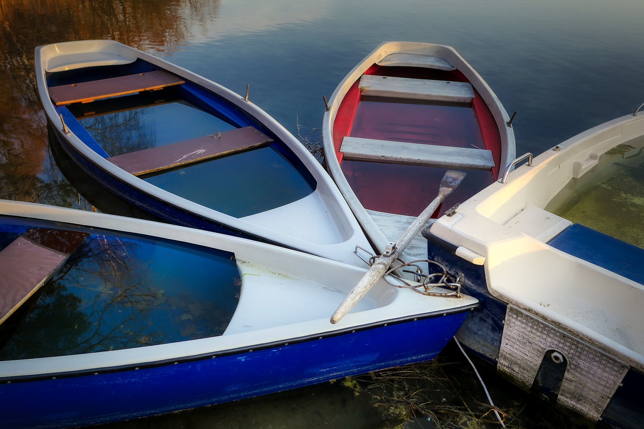 boat  rowing boat  water free photo