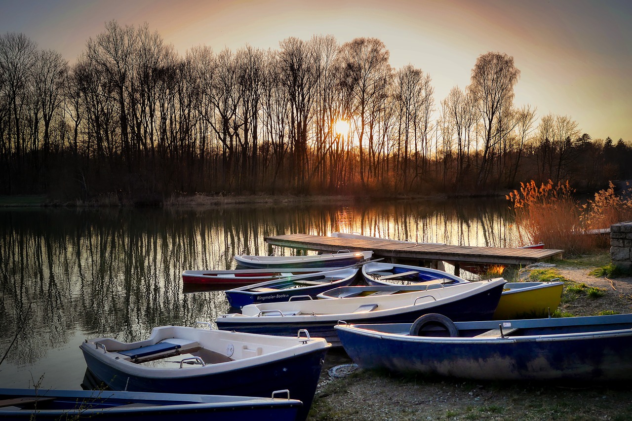 boat  rowing boat  water free photo