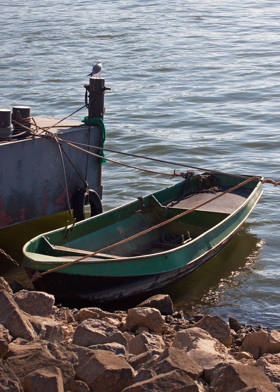 boat  rhine  water free photo