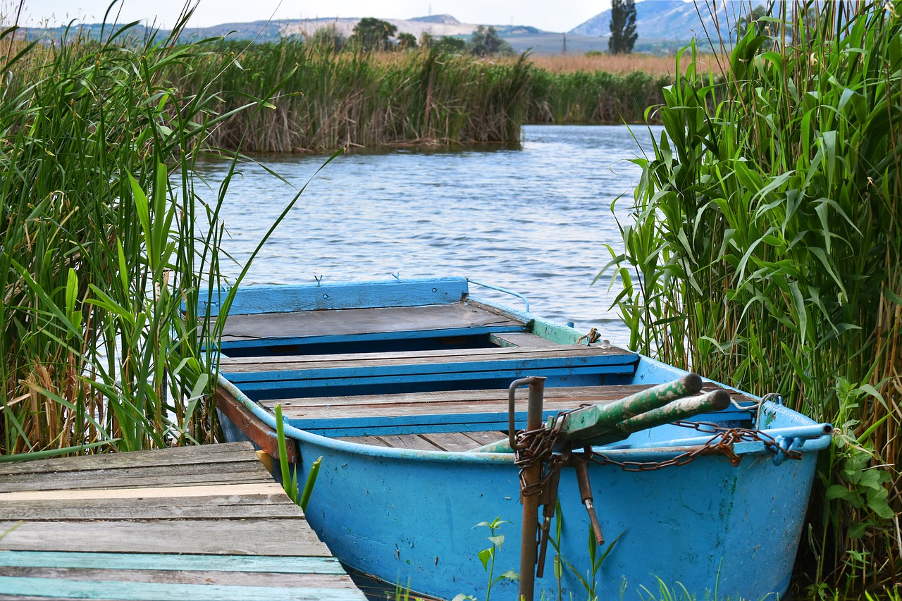 boat  nature  water free photo