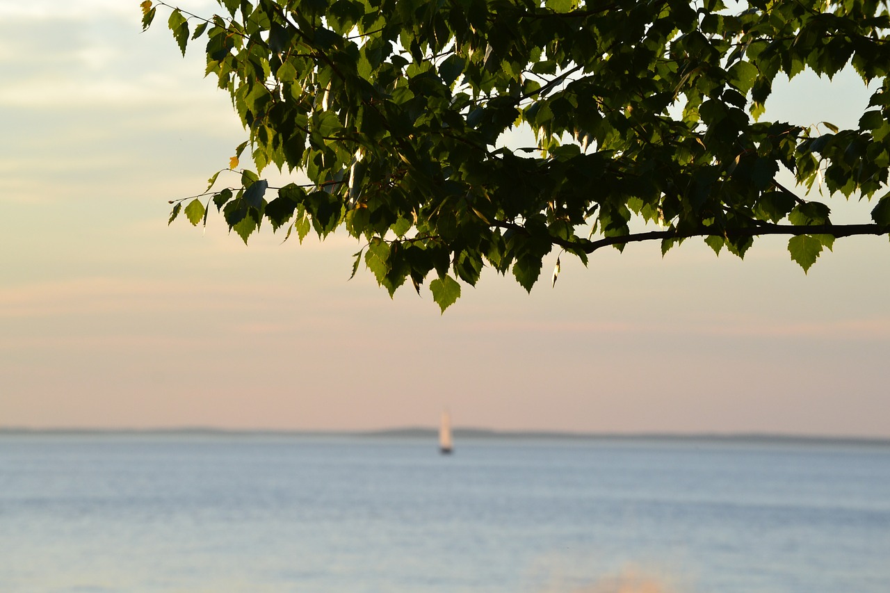 boat lake summer free photo