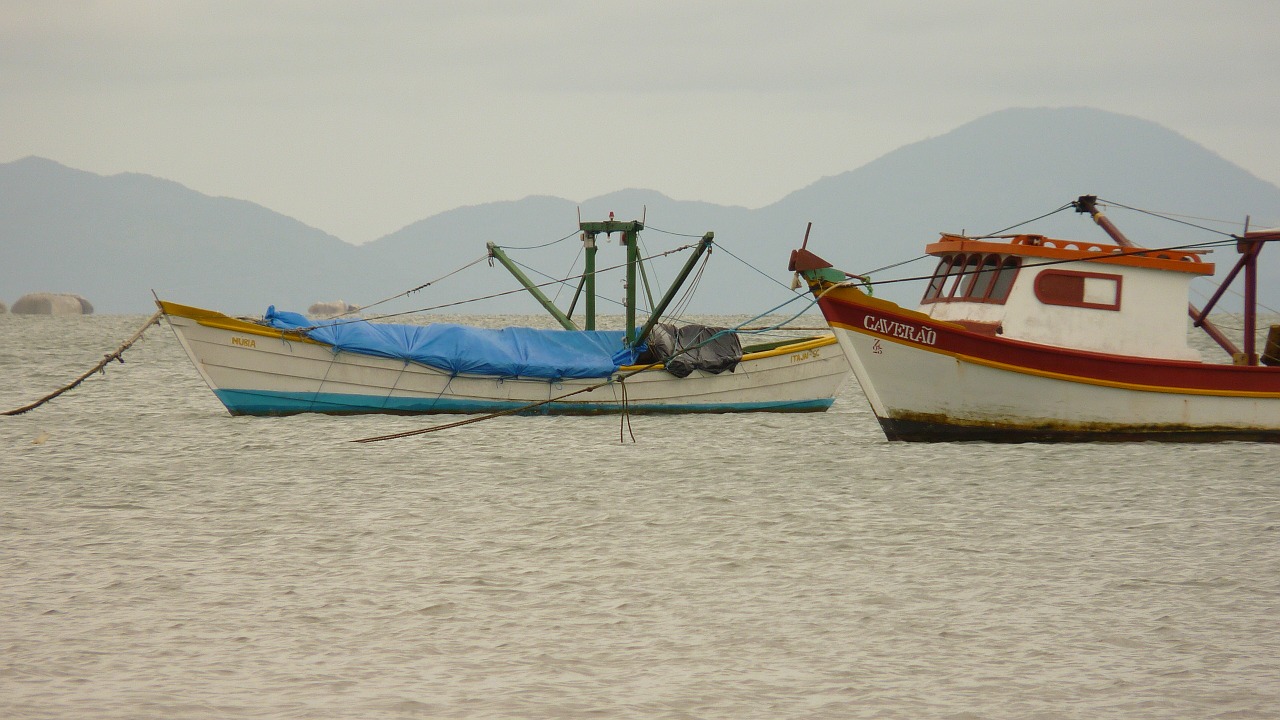 boat mar fishing free photo