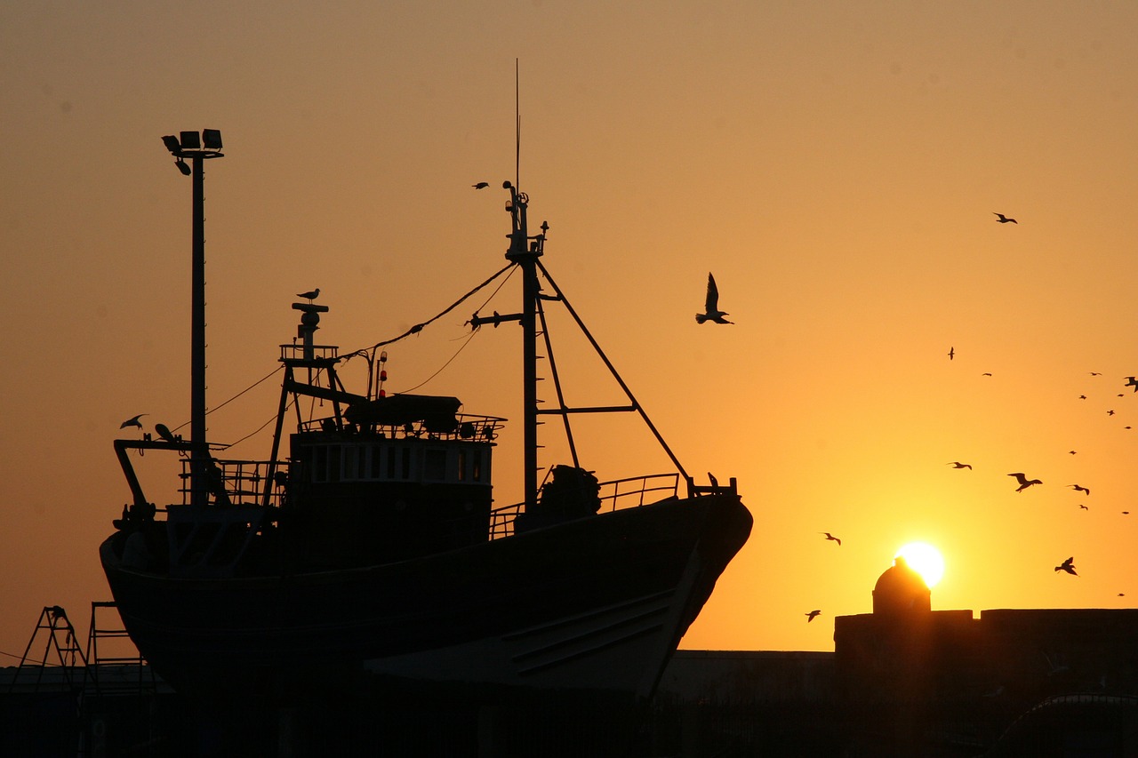 boat fishing boat fisheries free photo