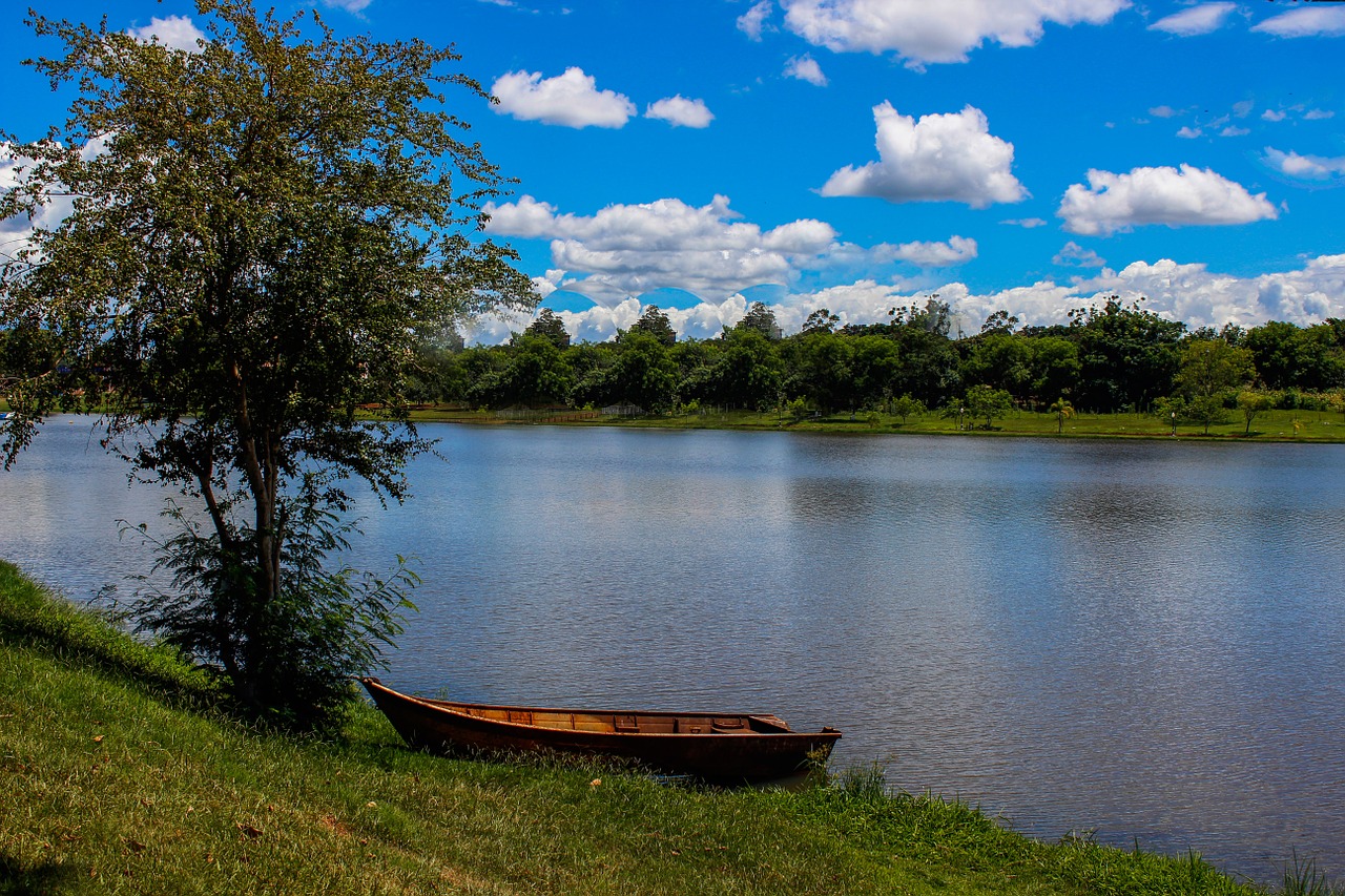 boat rio nature free photo