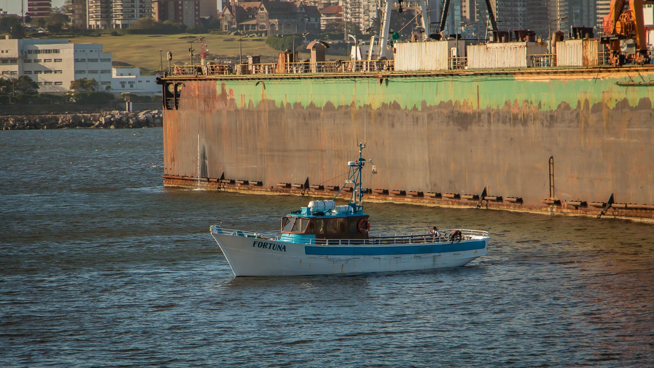 boat mar del plata argentina free photo