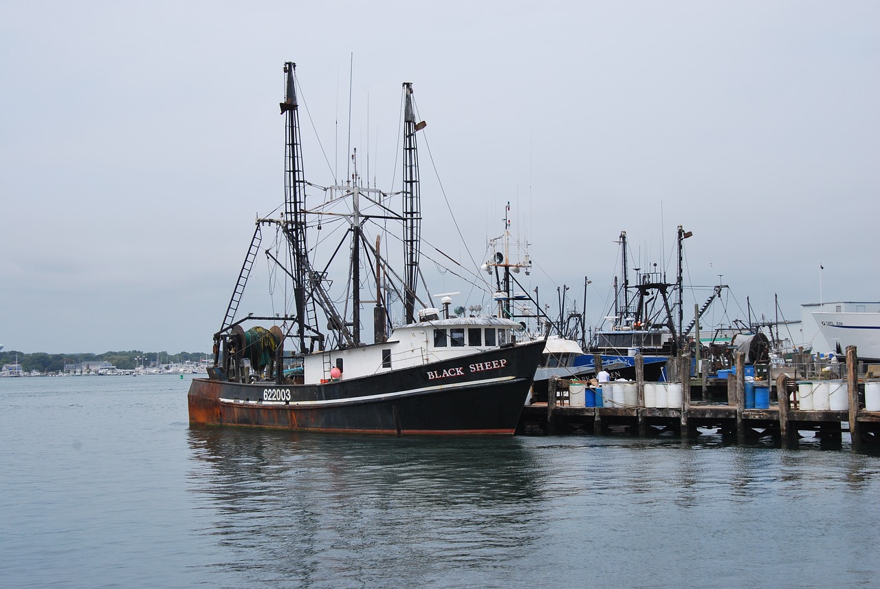 boat fishing commercial free photo