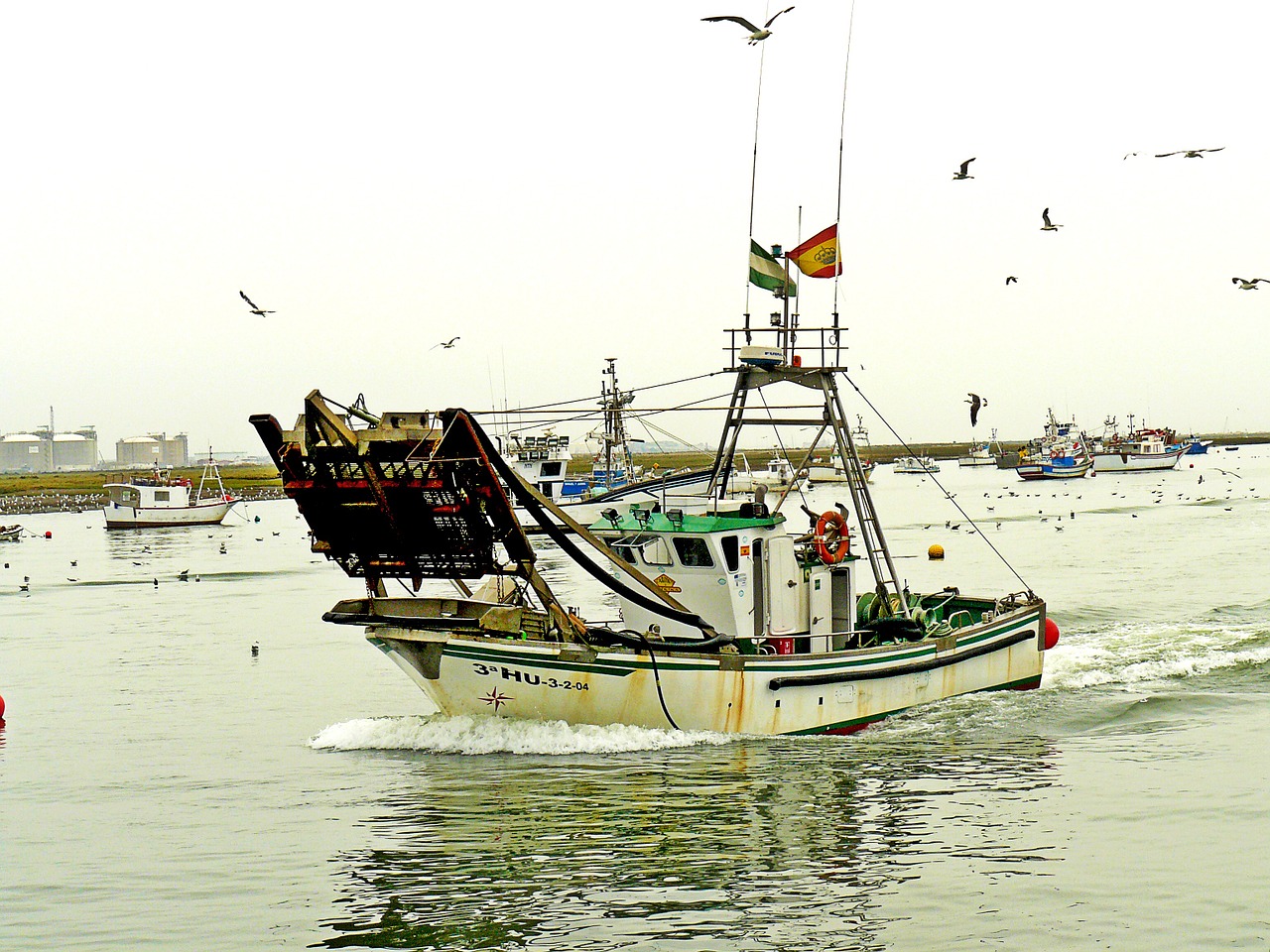 boat fishing ria free photo