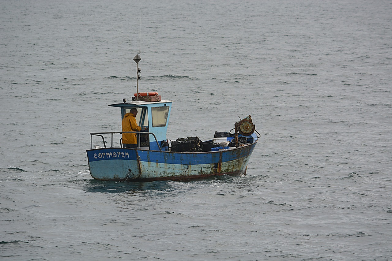 boat fishing fisherman free photo