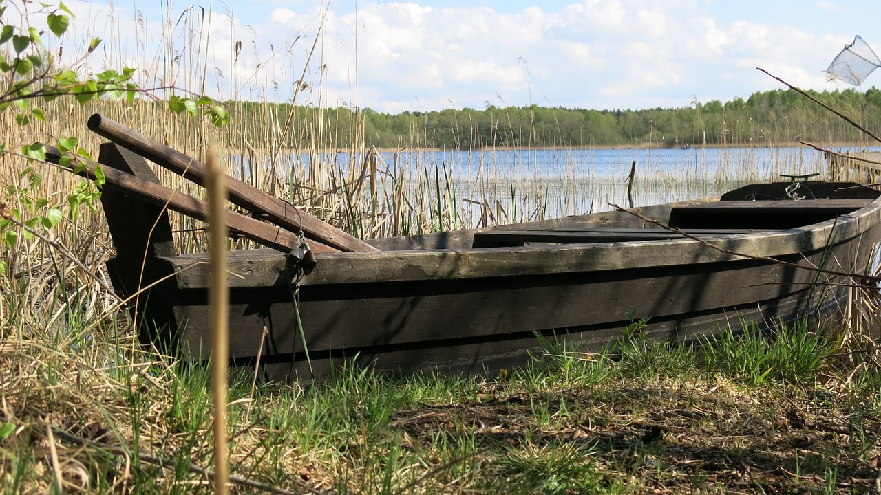 boat nature summer free photo