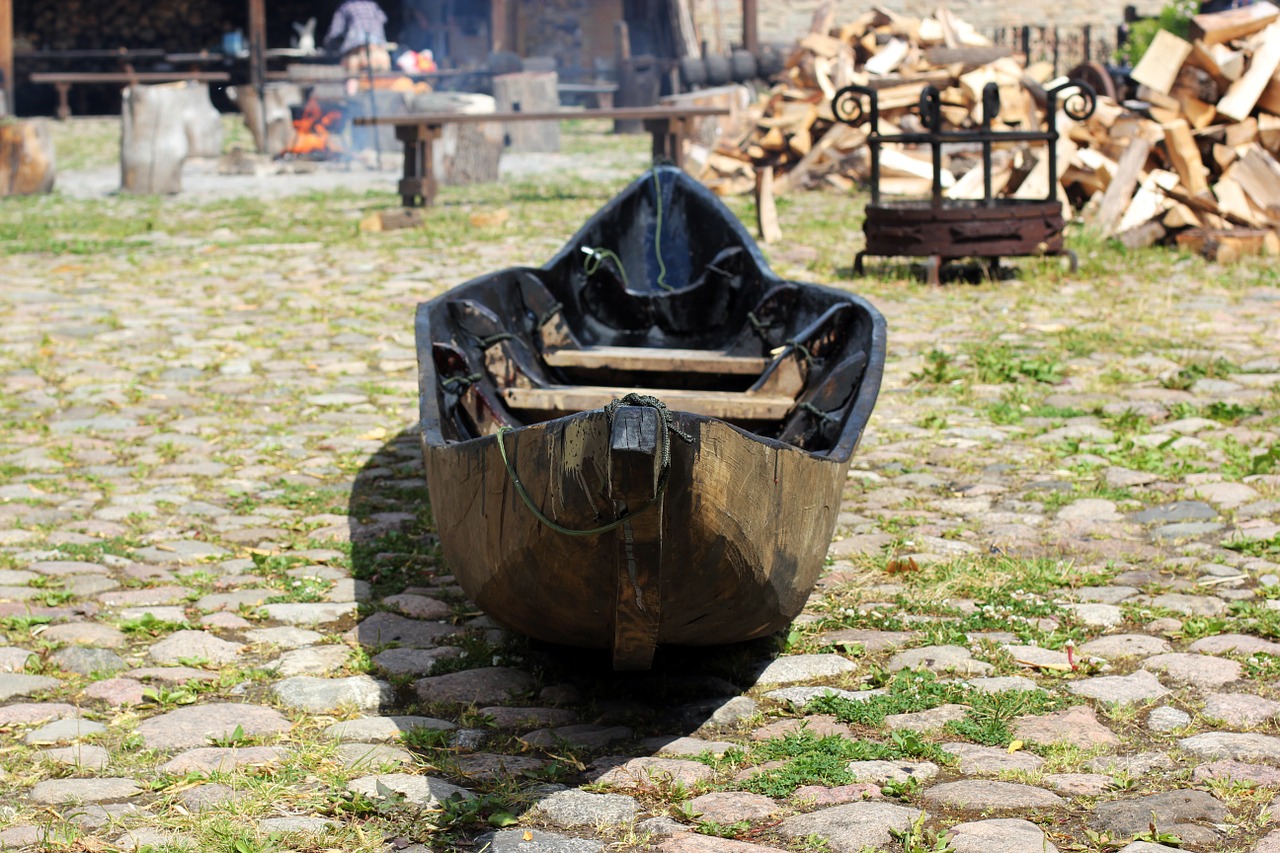 boat tree old free photo