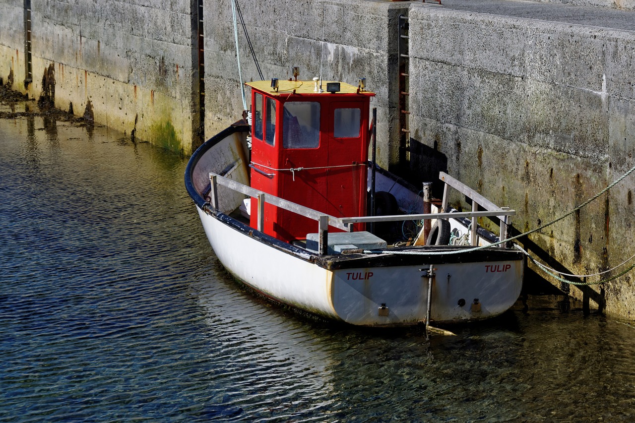 boat harbor fishing boat free photo